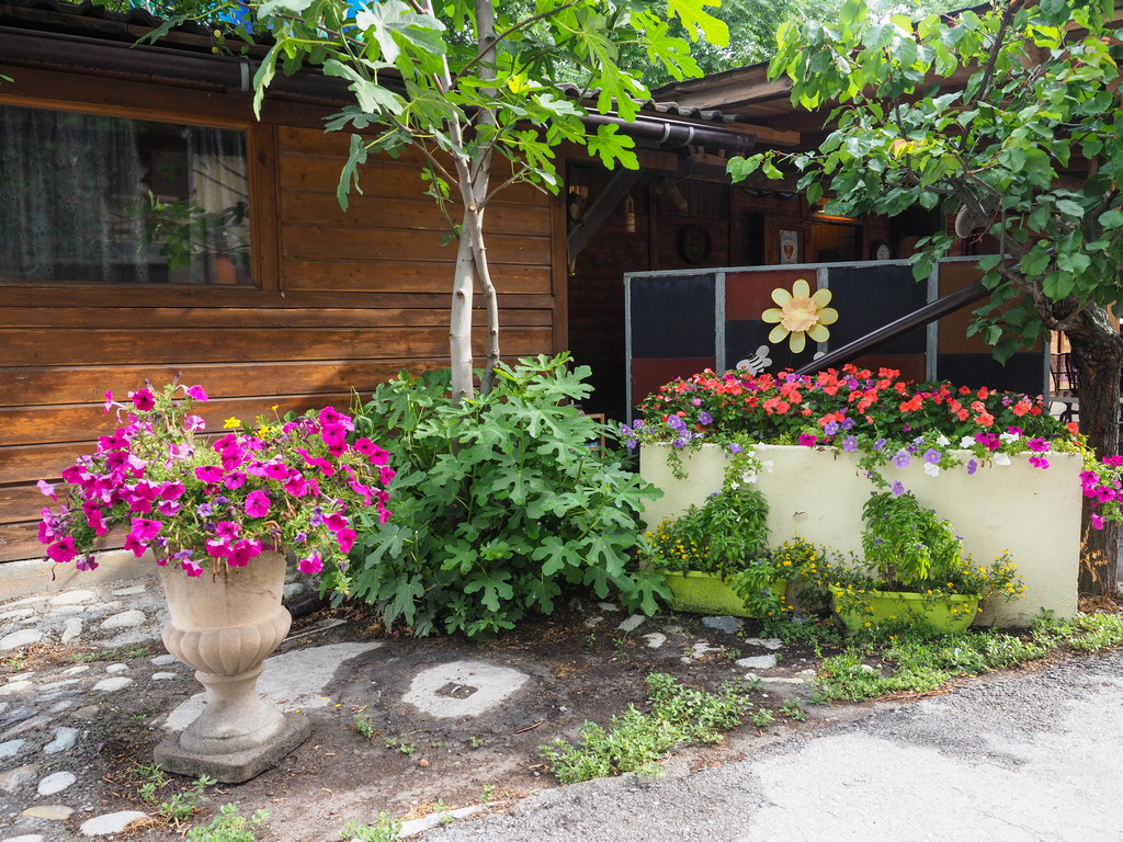 9.38 Valcentre – Bild