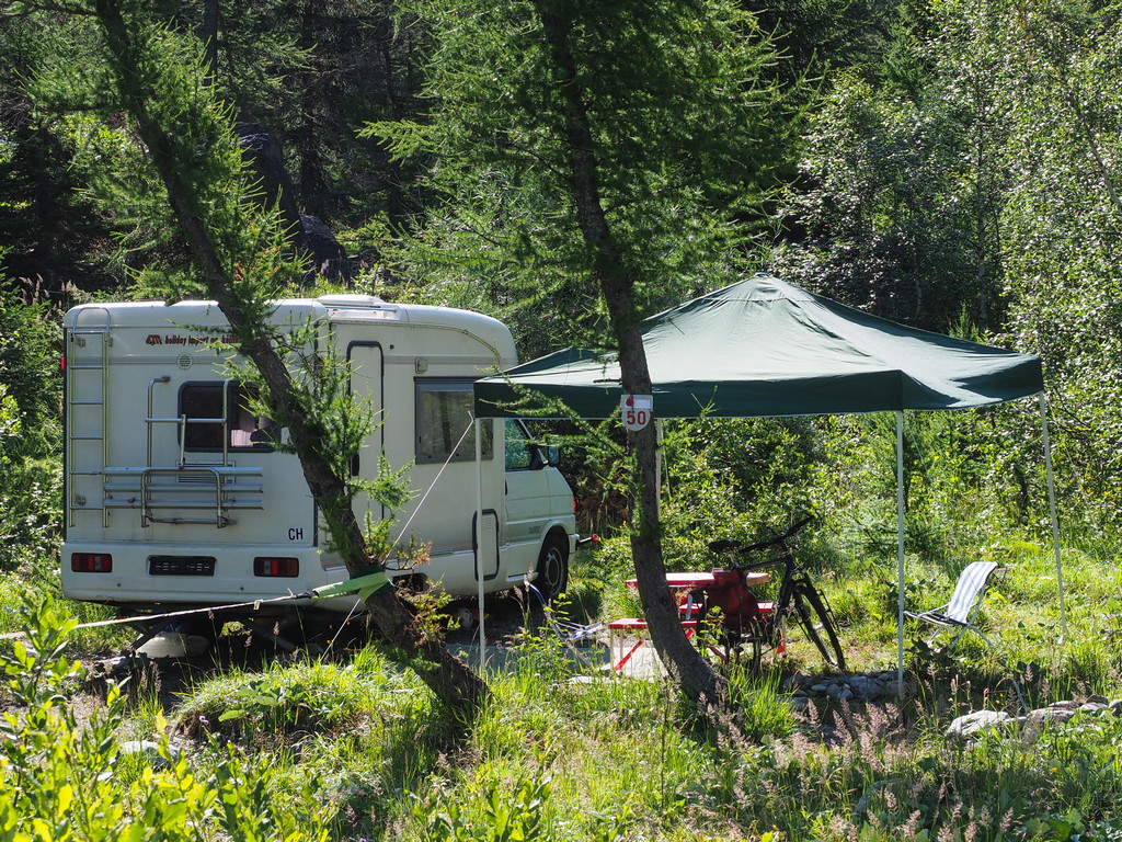 9.21 Forêt des Mélèzes – Bild