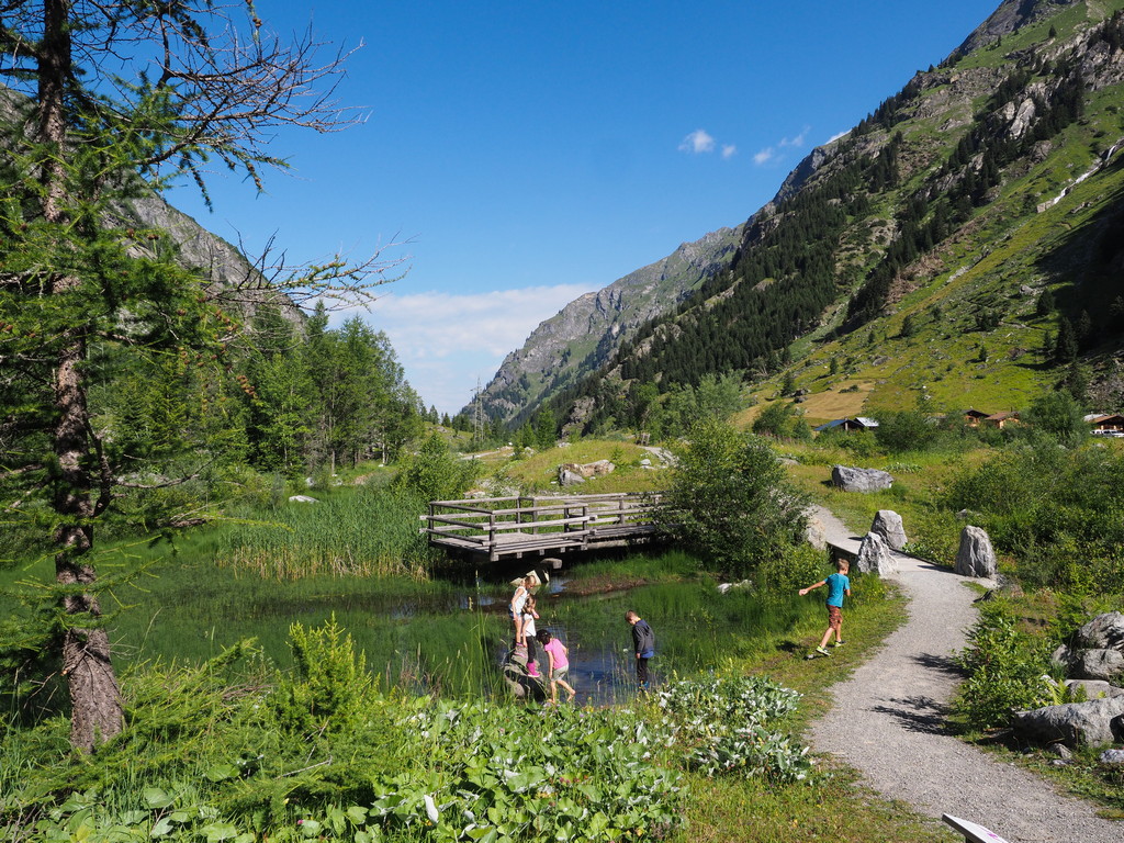 9.21 Forêt des Mélèzes – Bild