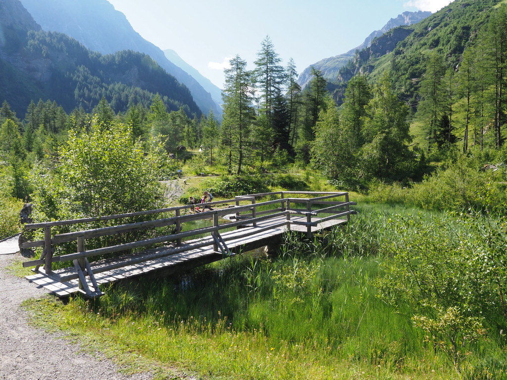 9.21 Forêt des Mélèzes – Bild