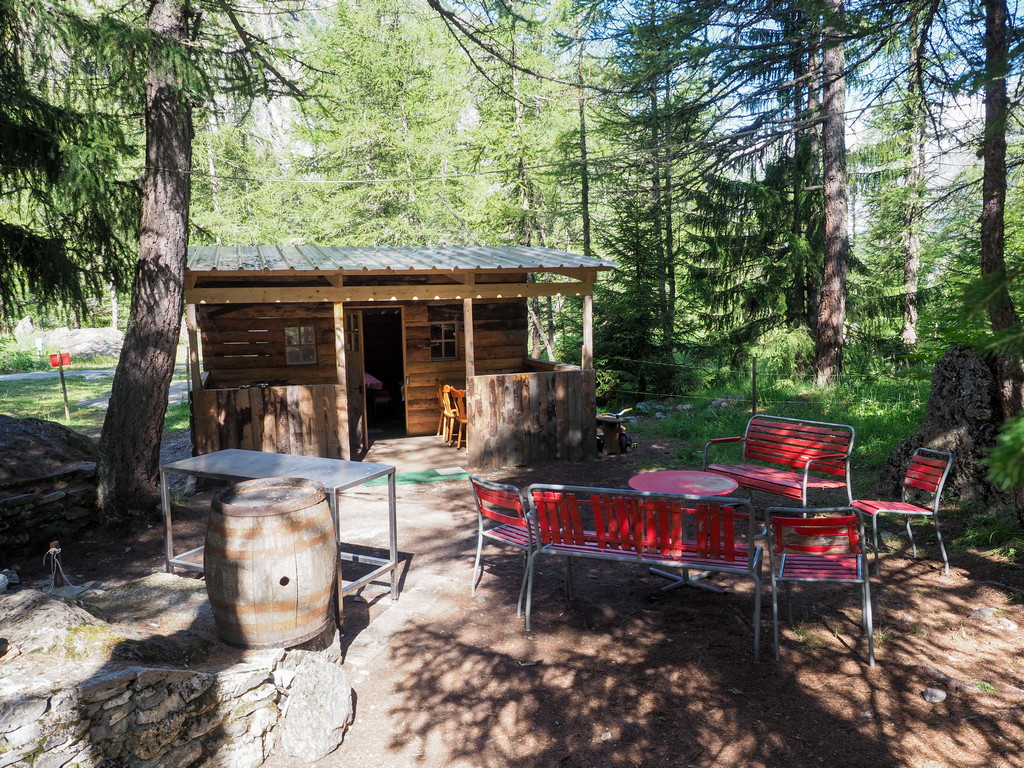 9.21 Forêt des Mélèzes – Bild