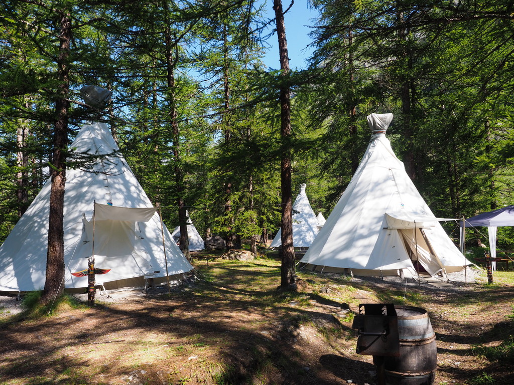 9.21 Forêt des Mélèzes – Bild